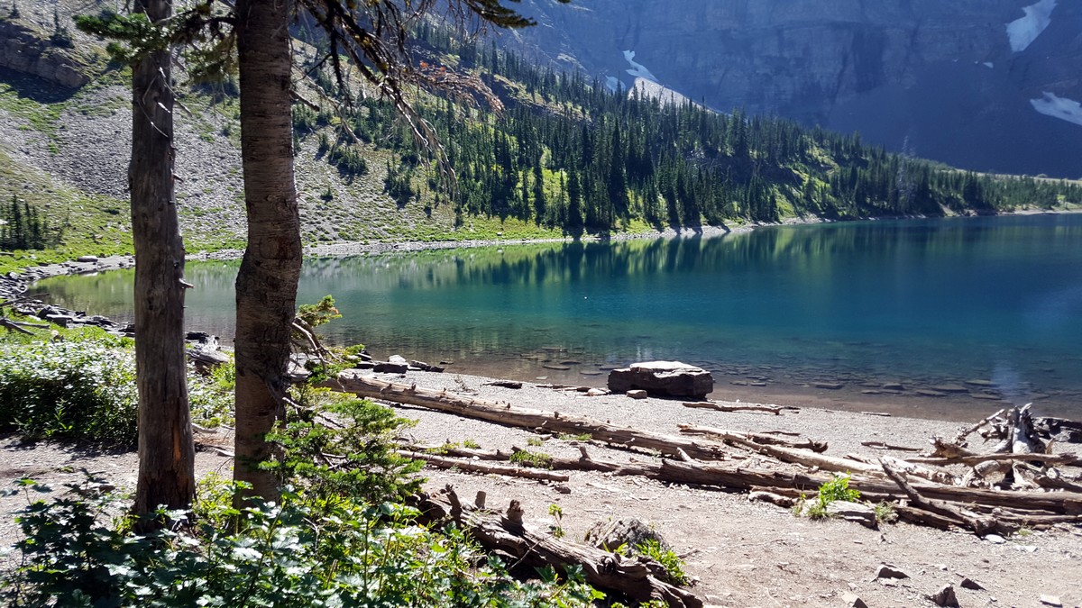 Crypt Lake Hike in Waterton Lakes National Park has amazing views