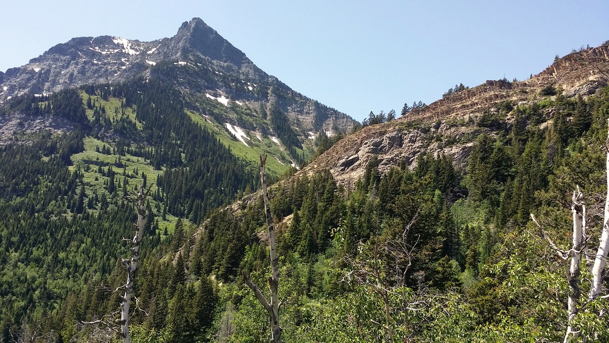 Mt. Richards on the Bertha Lake and Falls Hike in Waterton Lakes National Park, Canada