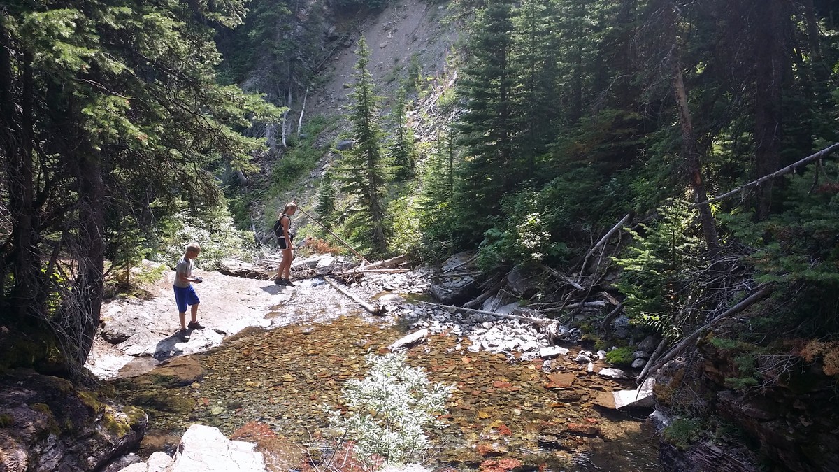 The creek on the Lineham Falls Hike in Waterton Lakes National Park, Canada