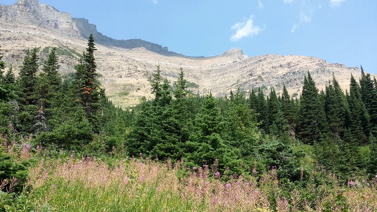 Ruby ridge on the Lineham Falls Hike in Waterton Lakes National Park, Canada