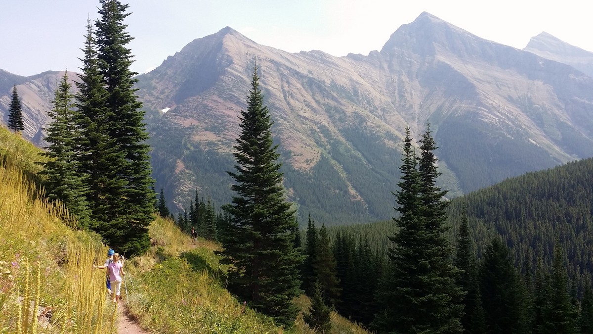 Trail of the Lineham Falls Hike in Waterton Lakes National Park, Canada