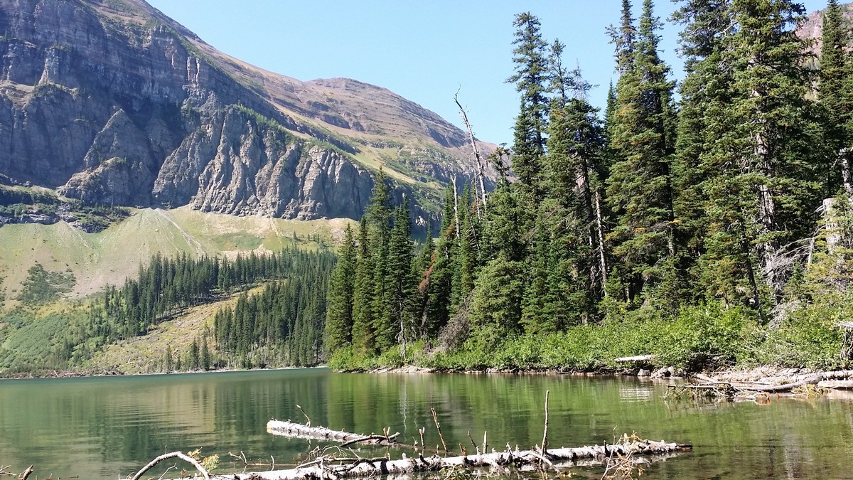 Shore of the lake on the Wall Lake Hike in Waterton Lakes National Park, Canada