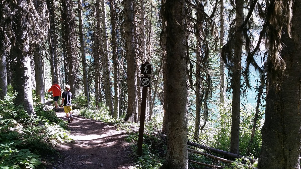 Shore views of the Wall Lake Hike in Waterton Lakes National Park, Canada