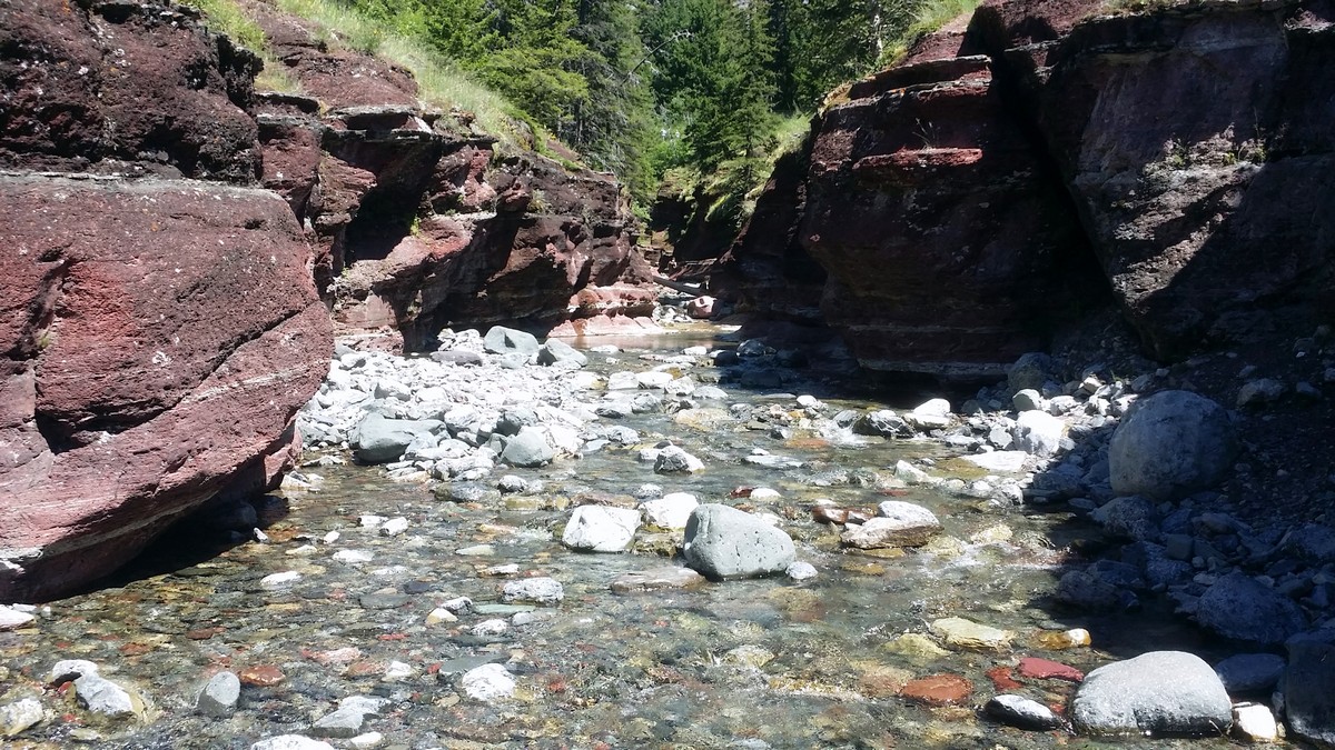 Views of the Red Rock Canyon / Blakiston Falls Hike in Waterton Lakes National Park, Canada