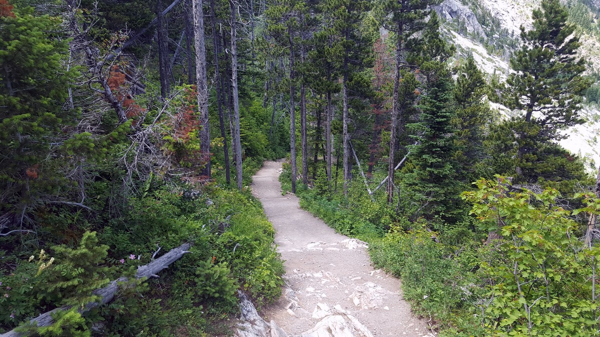 Trail of the Bear's Hump Hike in Waterton Lakes National Park, Canada