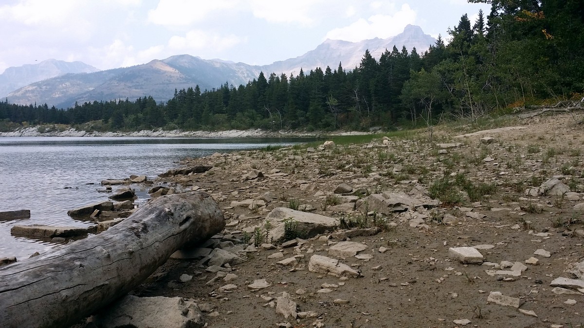 Lakeshore of the Crandell Lake Hike in Waterton Lakes National Park, Alberta