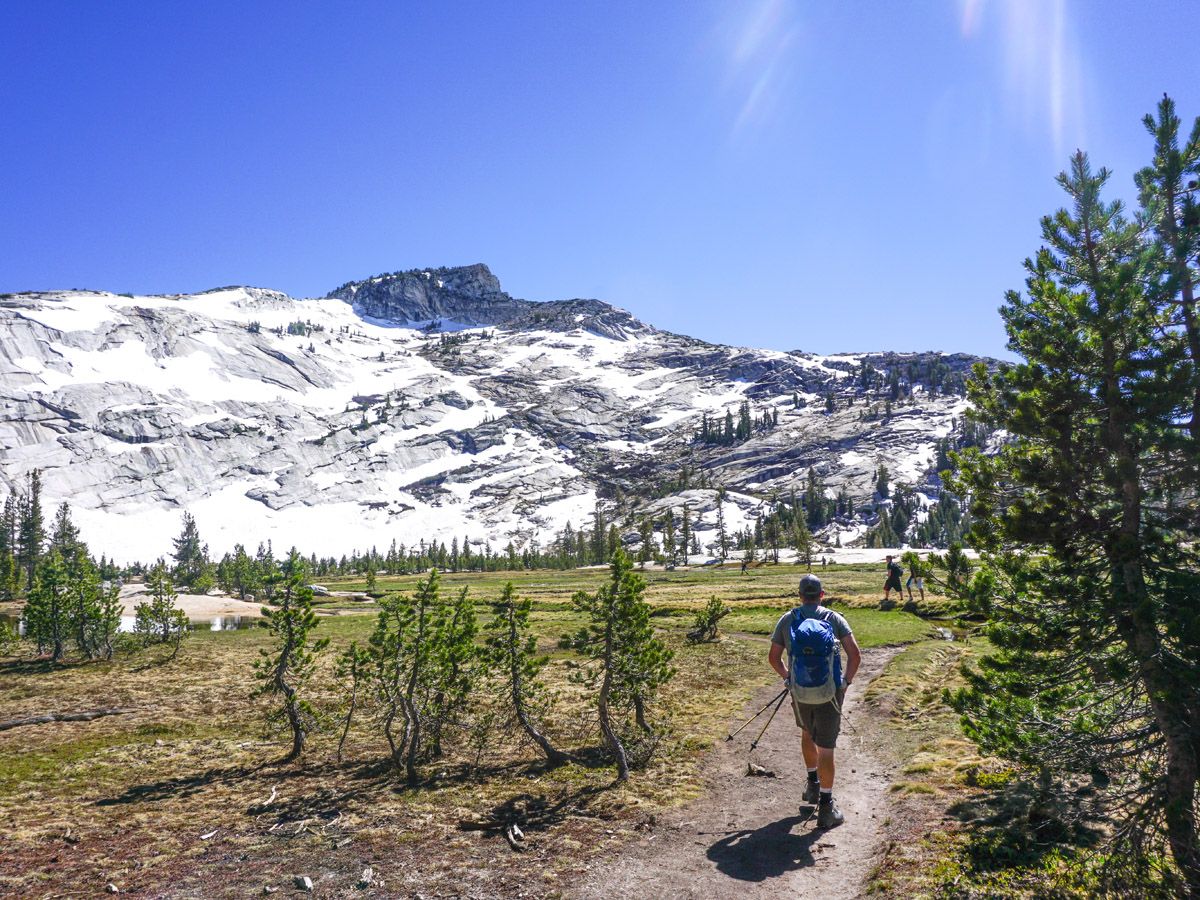 Man hiking on the Cathedral Lakes Hike in Yosemite National Park, California