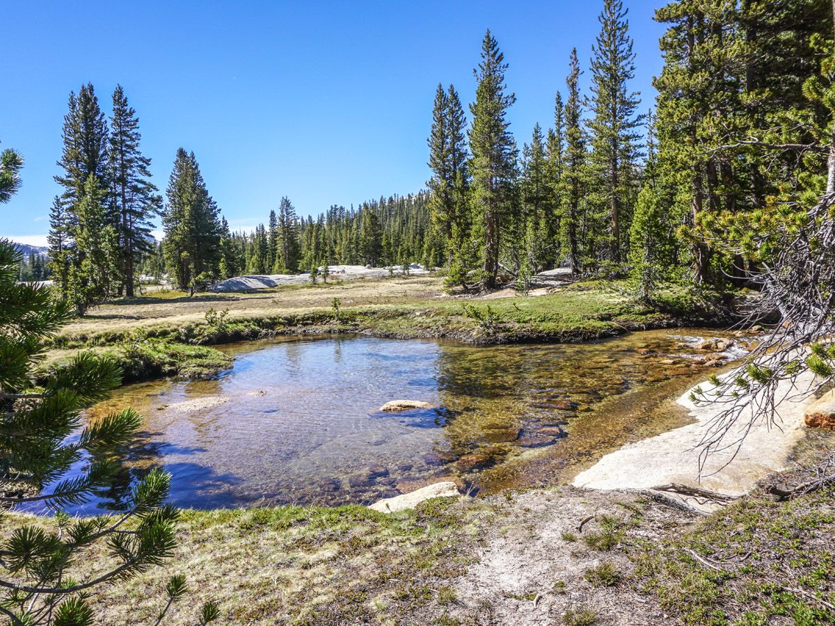 Cathedral Lakes Hike in Yosemite National Park leads along several beautiful lakes