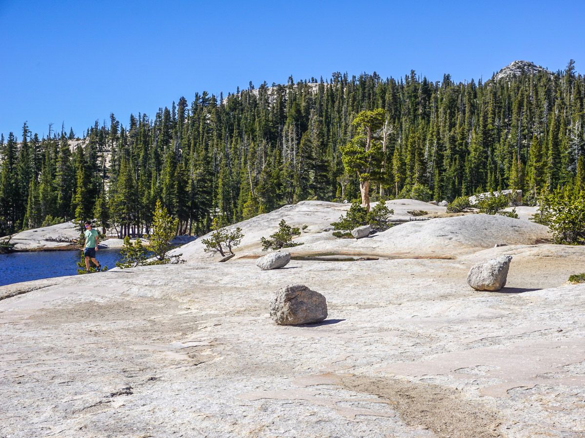 Rocks on the Cathedral Lakes Hike in Yosemite National Park, California