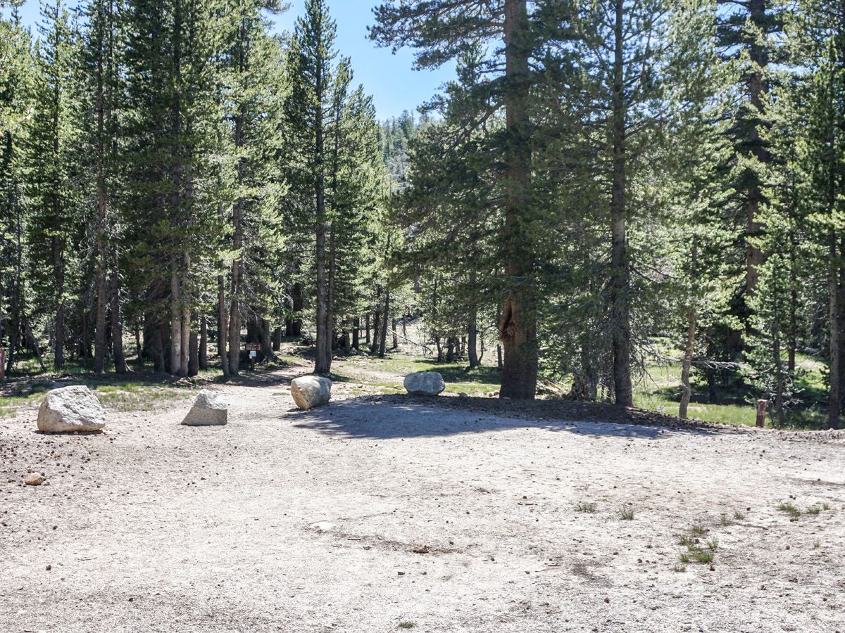 Route markings along the Cathedral Lakes Hike in Yosemite National Park, California