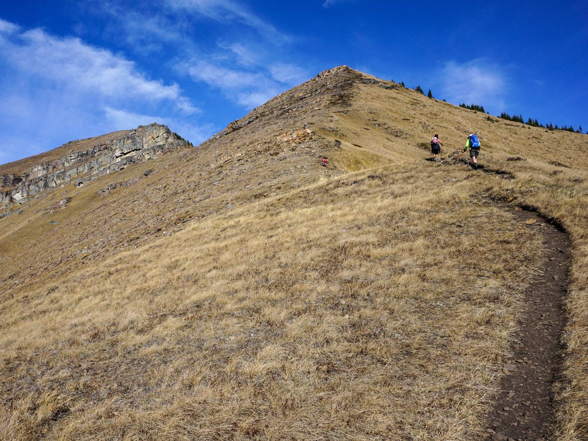 Hiking trail and people at Centennial Pass and Mount Allan Summit Hike in Canmore