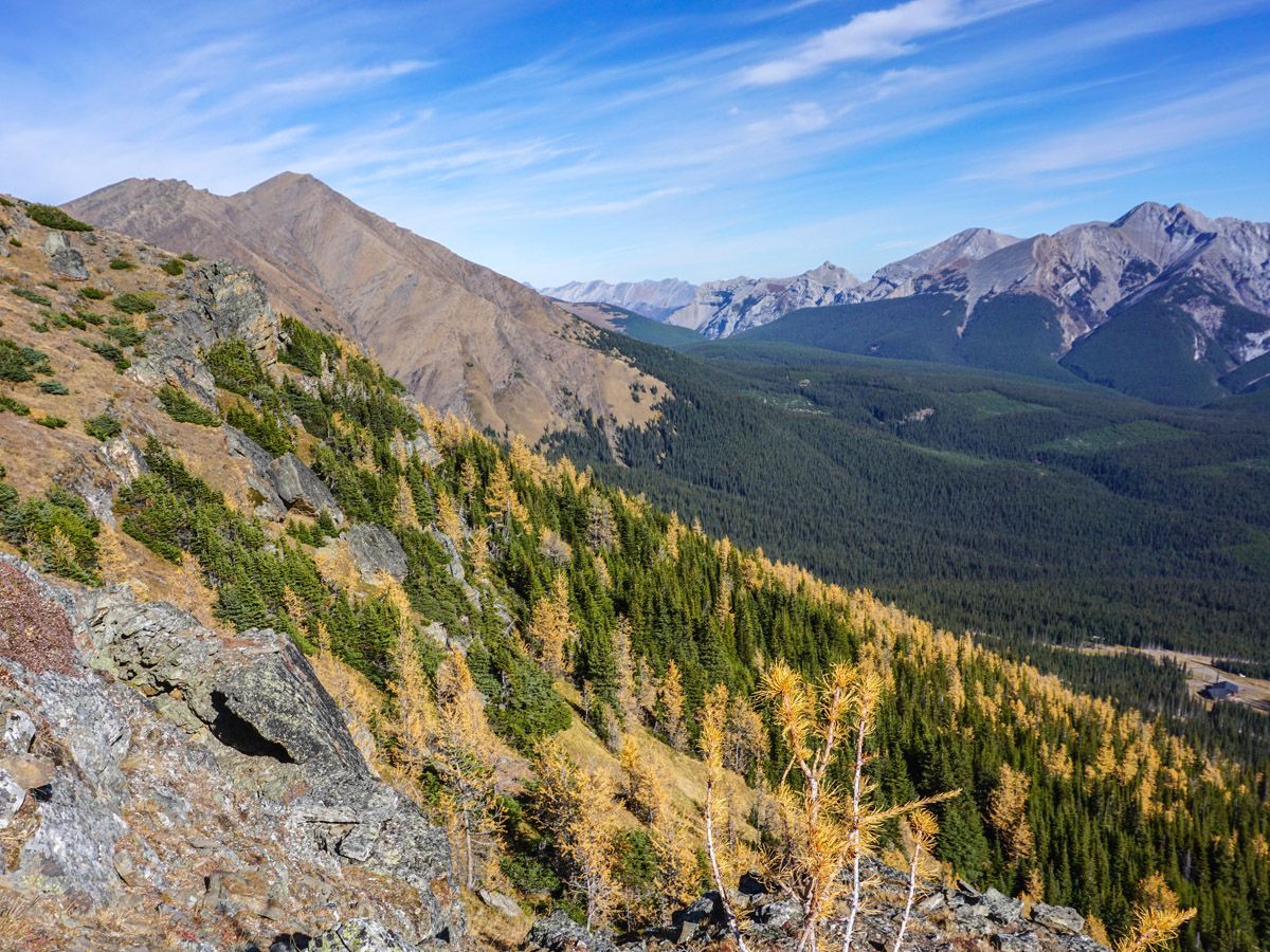 Forest and mountains at Centennial Pass and Mount Allan Summit Hike in Canmore