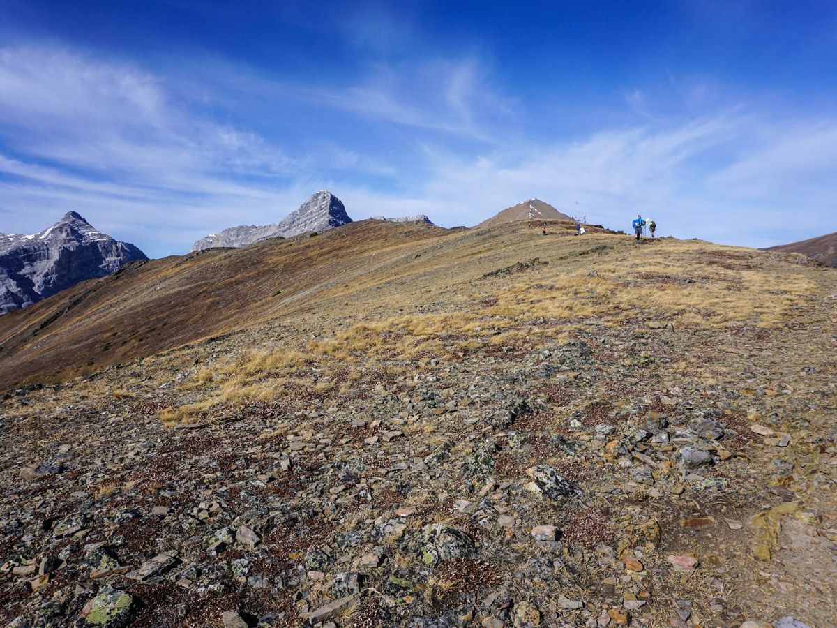 Mountain trail at Centennial Pass and Mount Allan Summit Hike in Canmore