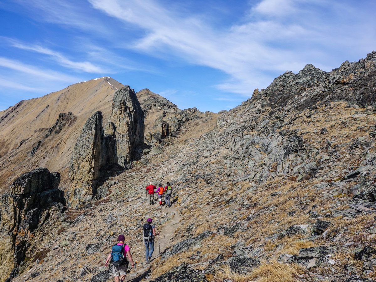 hikers at Centennial Pass and Mount Allan Summit Hike in Canmore