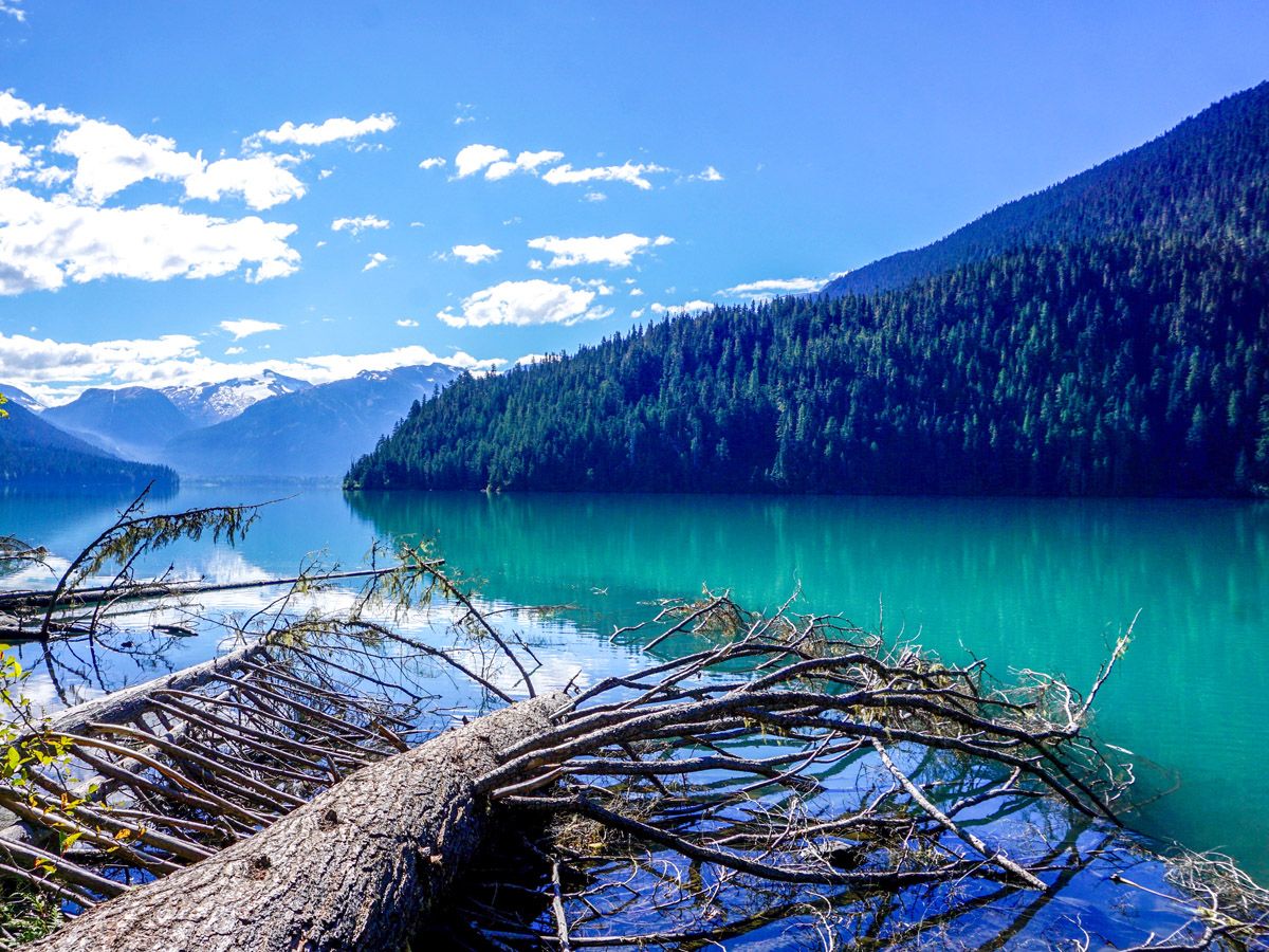 Beautiful blue lake on Cheakamus Lake Hike in Whistler, British Columbia