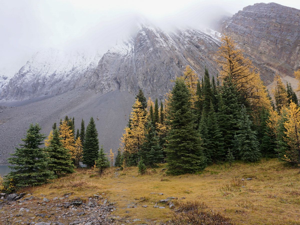 Trees and mountain on the Chester Lake Hike from Smith-Dorrien Trail in Kananaskis, near Canmore