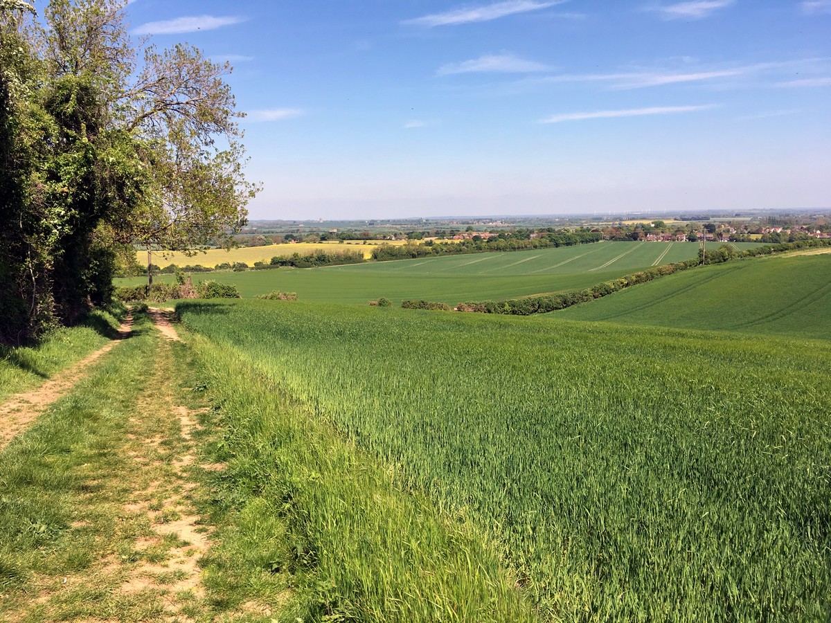 Trail along the field edge of the Pegsdon and Deacon Hill Hike in Chiltern Hills, England