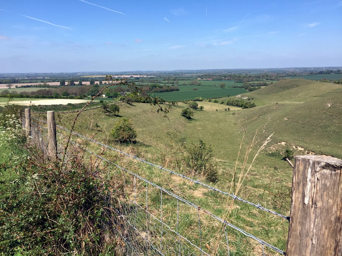 Knocking Hoe Nature Reserve on the Pegsdon and Deacon Hill Hike in Chiltern Hills, England