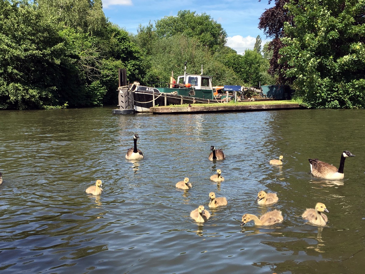 The Thames Path on the Hurley Loop Hike in Chiltern Hills, England