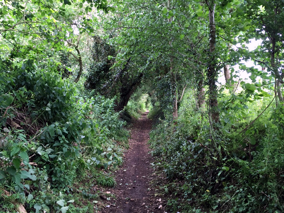 Knowl Hill Bridleway on the Hurley Loop Hike in Chiltern Hills, England