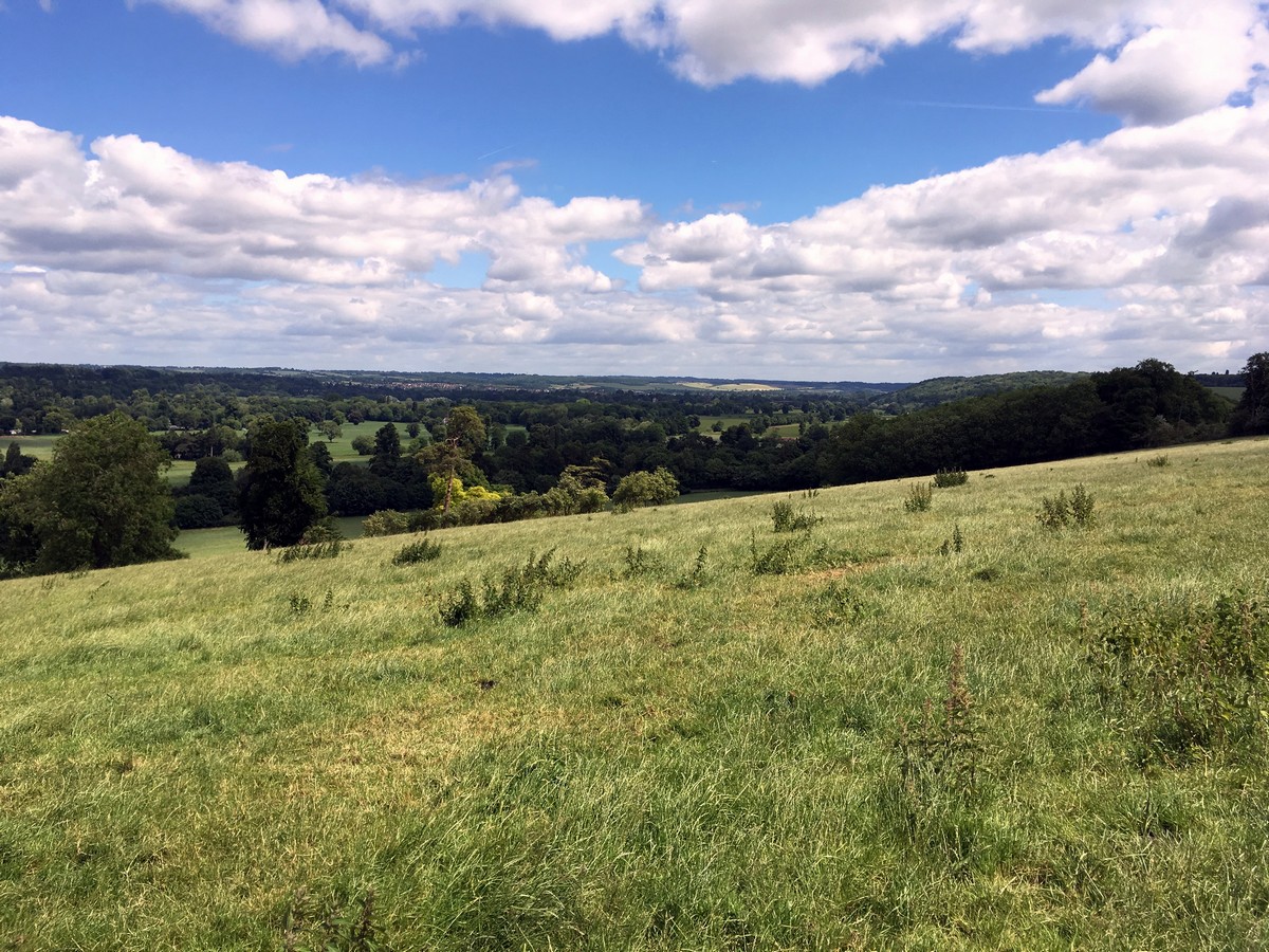 View from High Wood on the Hurley Loop Hike in Chiltern Hills, England