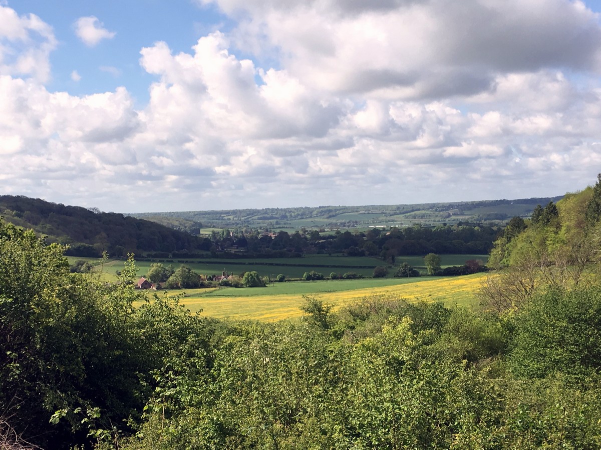 View of the valley on the Ashridge Boundary Trail Hike in Chiltern Hills, England