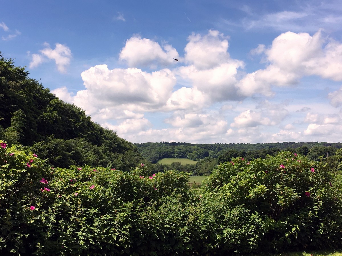 Views from the Wendover Loop Hike in Chiltern Hills, England