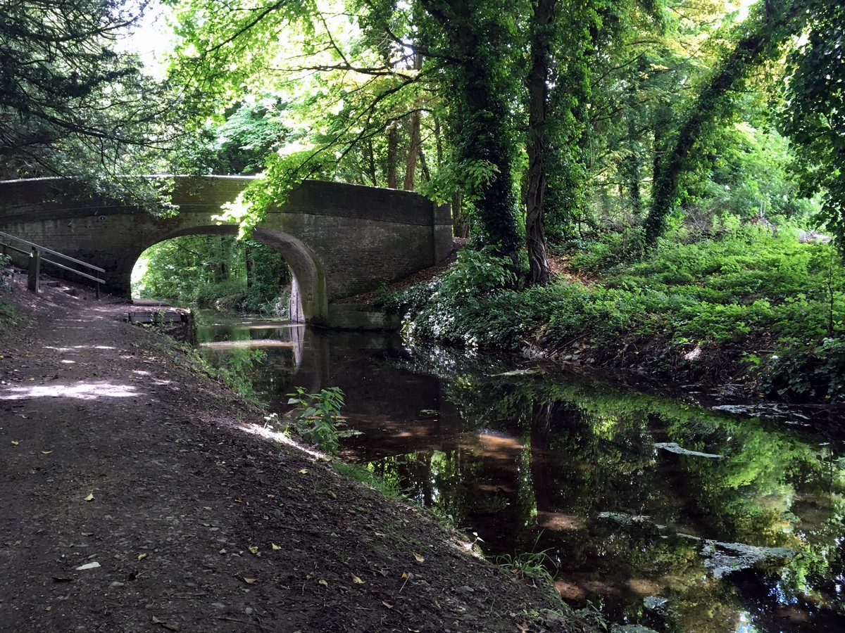 Bridge on the canal on the Wendover Loop Hike in Chiltern Hills, England