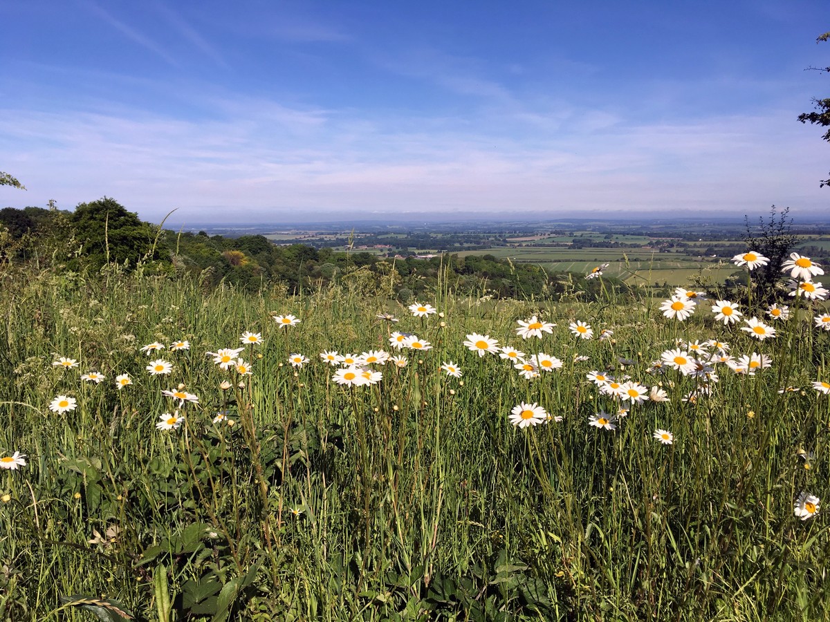 View over Oxford Plain from the Aston Rowant Hike in Chiltern Hills, England