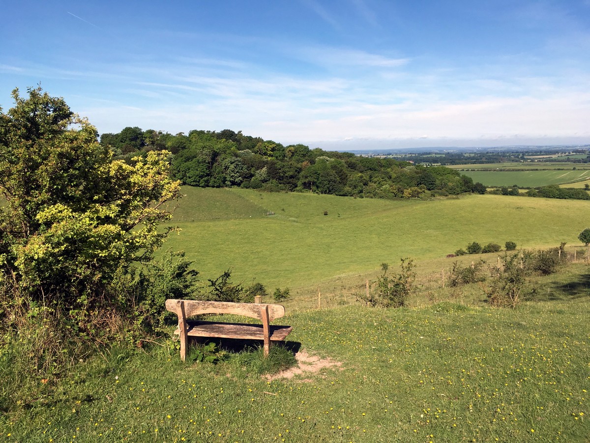 Bench in the Nature Reserve on the Aston Rowant Hike in Chiltern Hills, England