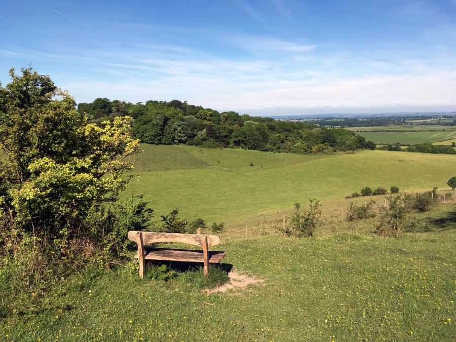 Planning your trip to Chilterns should include Aston Rowant Nature Reserve