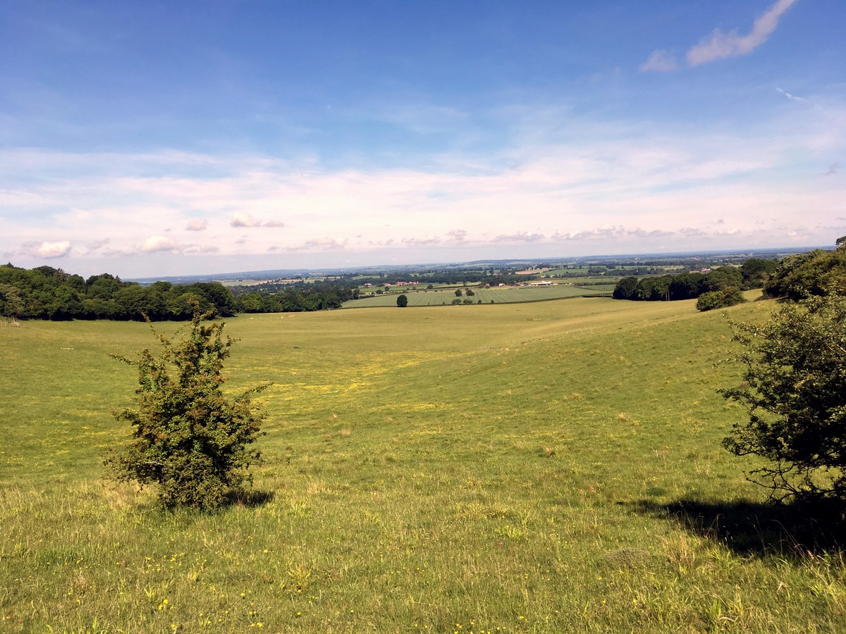 Trail towards Bald Hill on the Aston Rowant Hike in Chiltern Hills, England