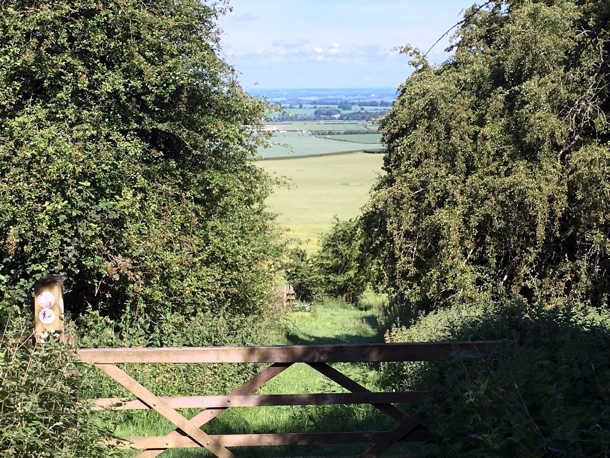 Into the woods at Bald Hill on the Aston Rowant Hike in Chiltern Hills, England