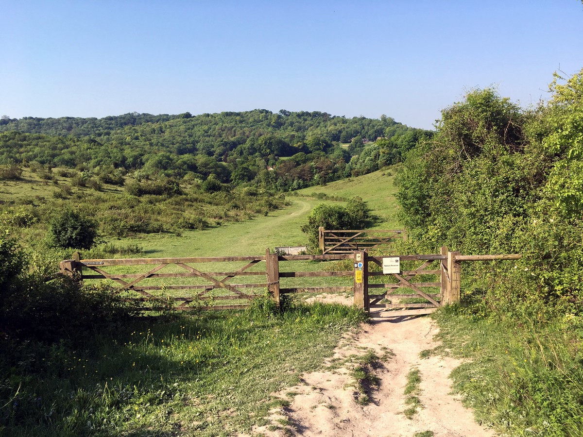 Fence in Grangelands Nature Reserve on the Brush Hill & White Leaf Nature Reserve Hike in Chiltern Hills, England