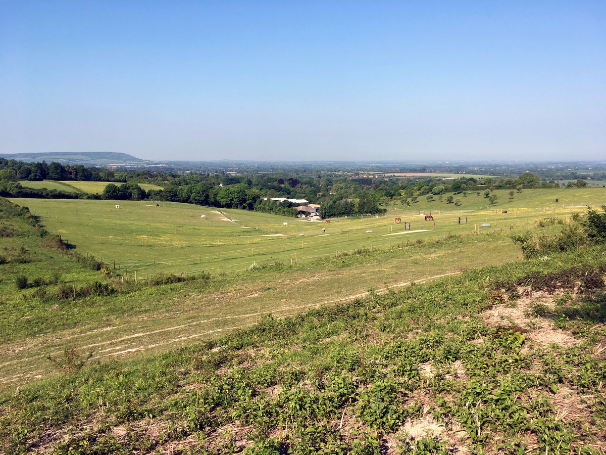 Grangelands Nature Reserve on the Brush Hill & White Leaf Nature Reserve Hike in Chiltern Hills, England