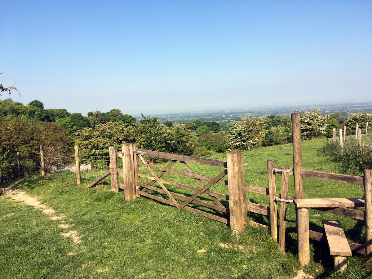 View near maple wood on the Brush Hill & White Leaf Nature Reserve Hike in Chiltern Hills, England