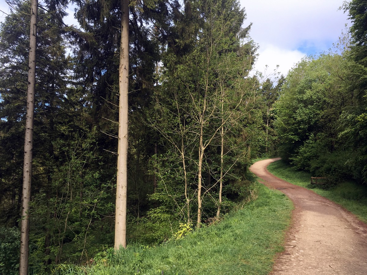 Along the Firecrest Loop – Wendover Hike in Chiltern Hills, England