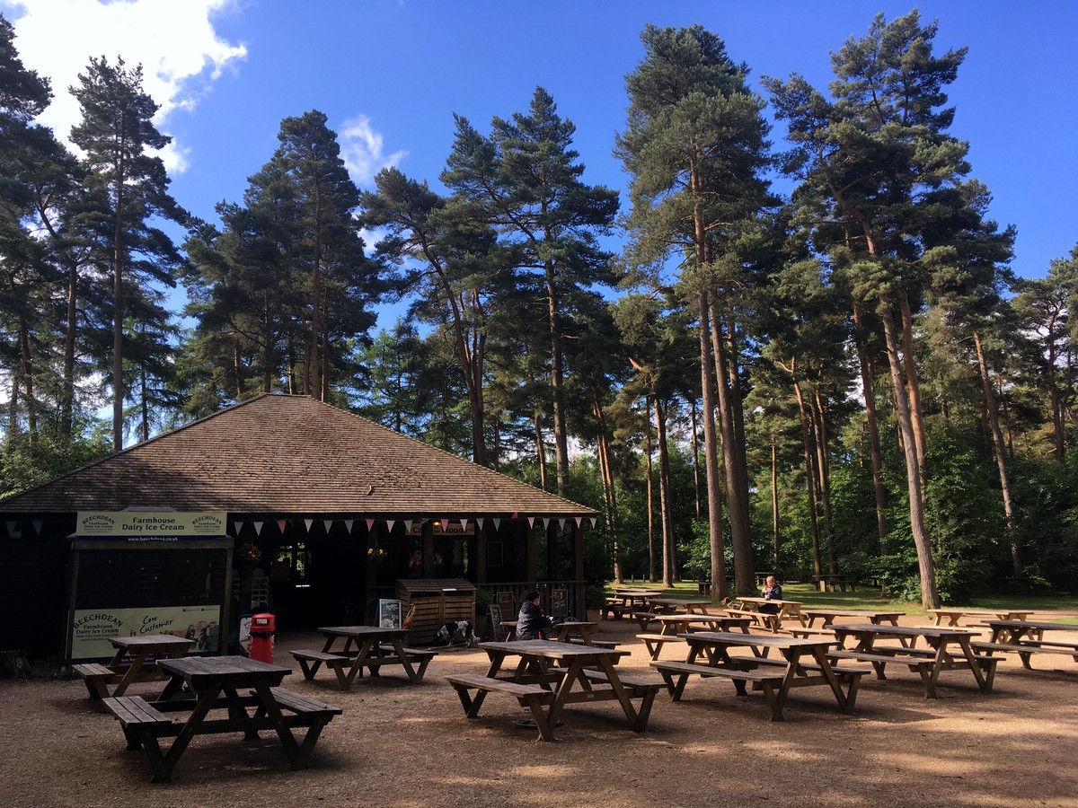 Cafe in the woods of the Firecrest Loop – Wendover Hike in Chiltern Hills, England