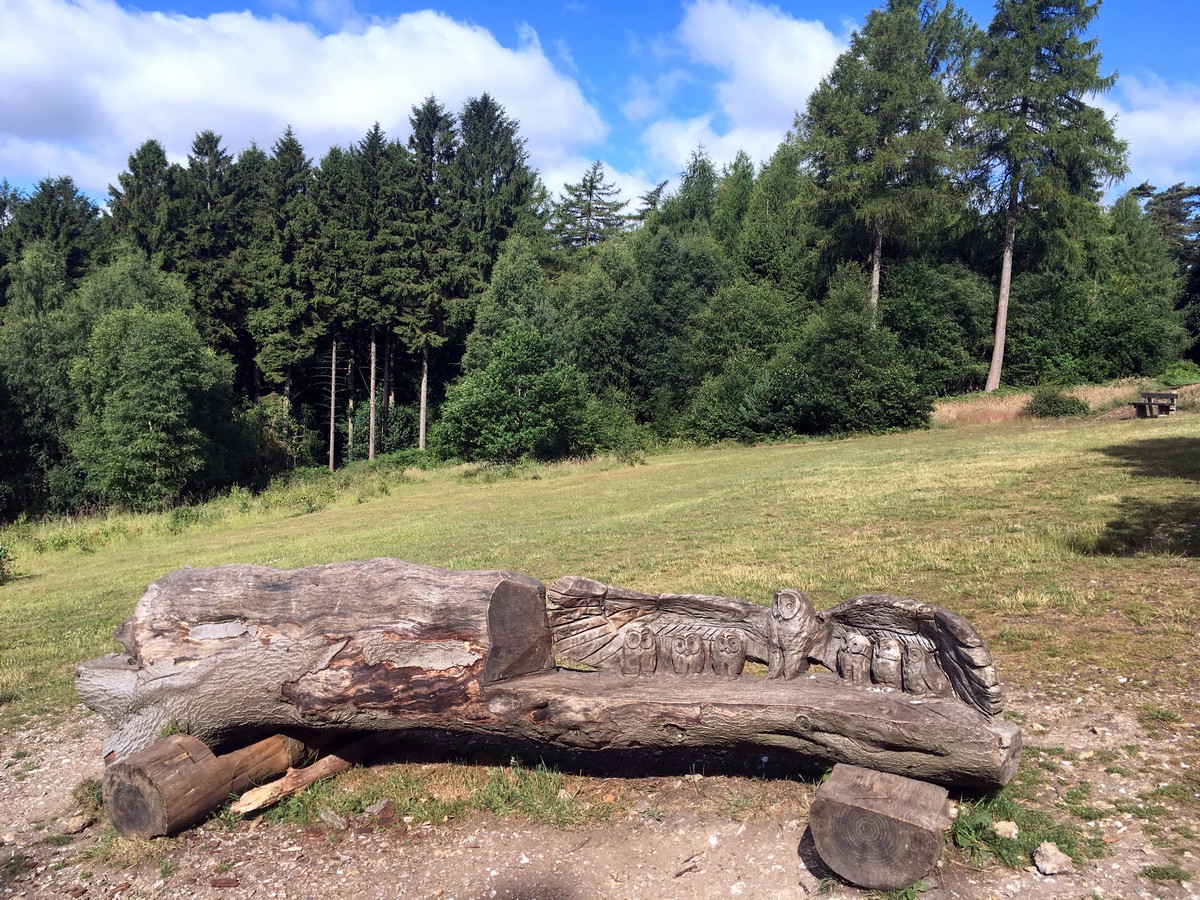 Owls on the bench on the Firecrest Loop – Wendover Hike in Chiltern Hills, England