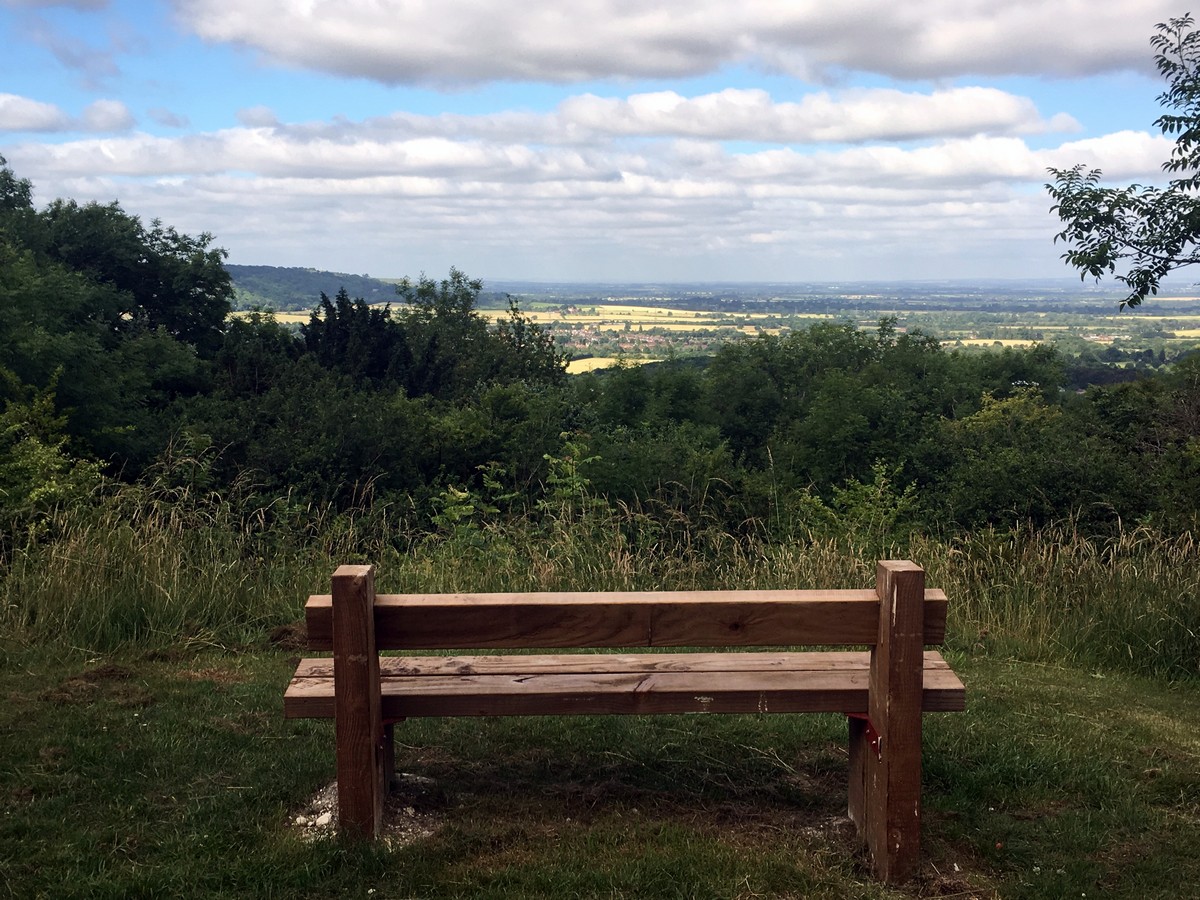 Bench with a view on the Firecrest Loop – Wendover Hike in Chiltern Hills, England