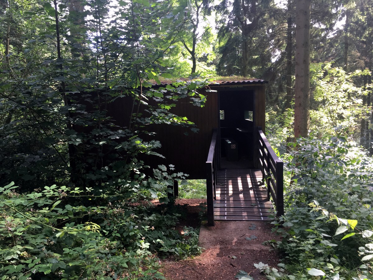 The bird hide on the Firecrest Loop – Wendover Hike in Chiltern Hills, England