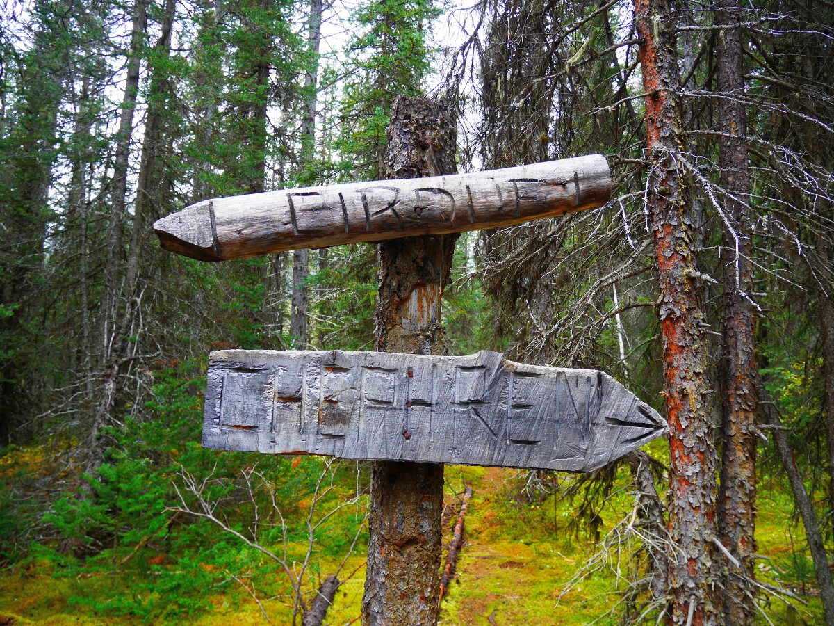 Trail sign on the Cirque & Chephren Lakes Hike from the Icefields Parkway near Banff National Park