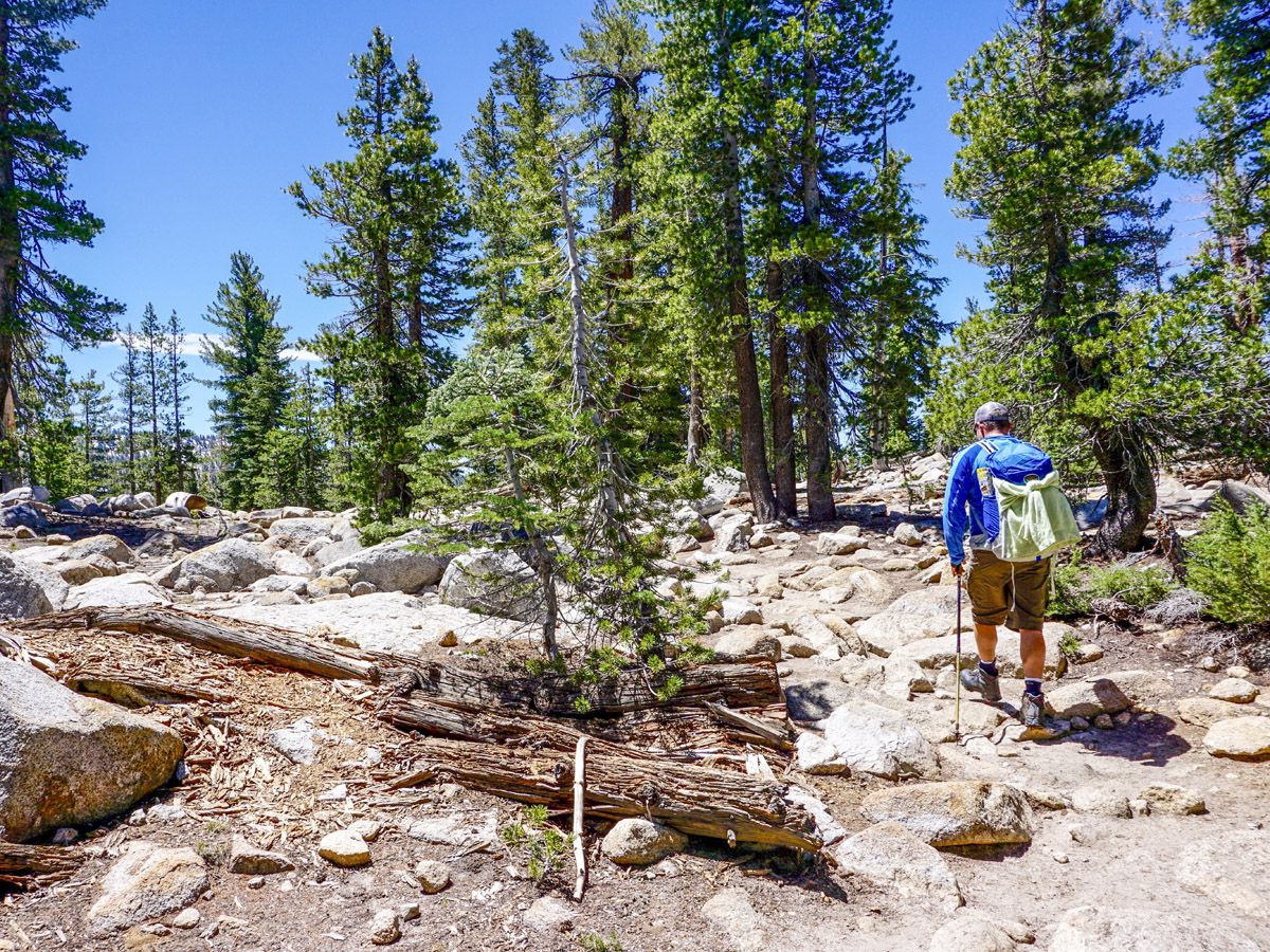 Man hiking at Clouds Rest Hike Yosemite National Park