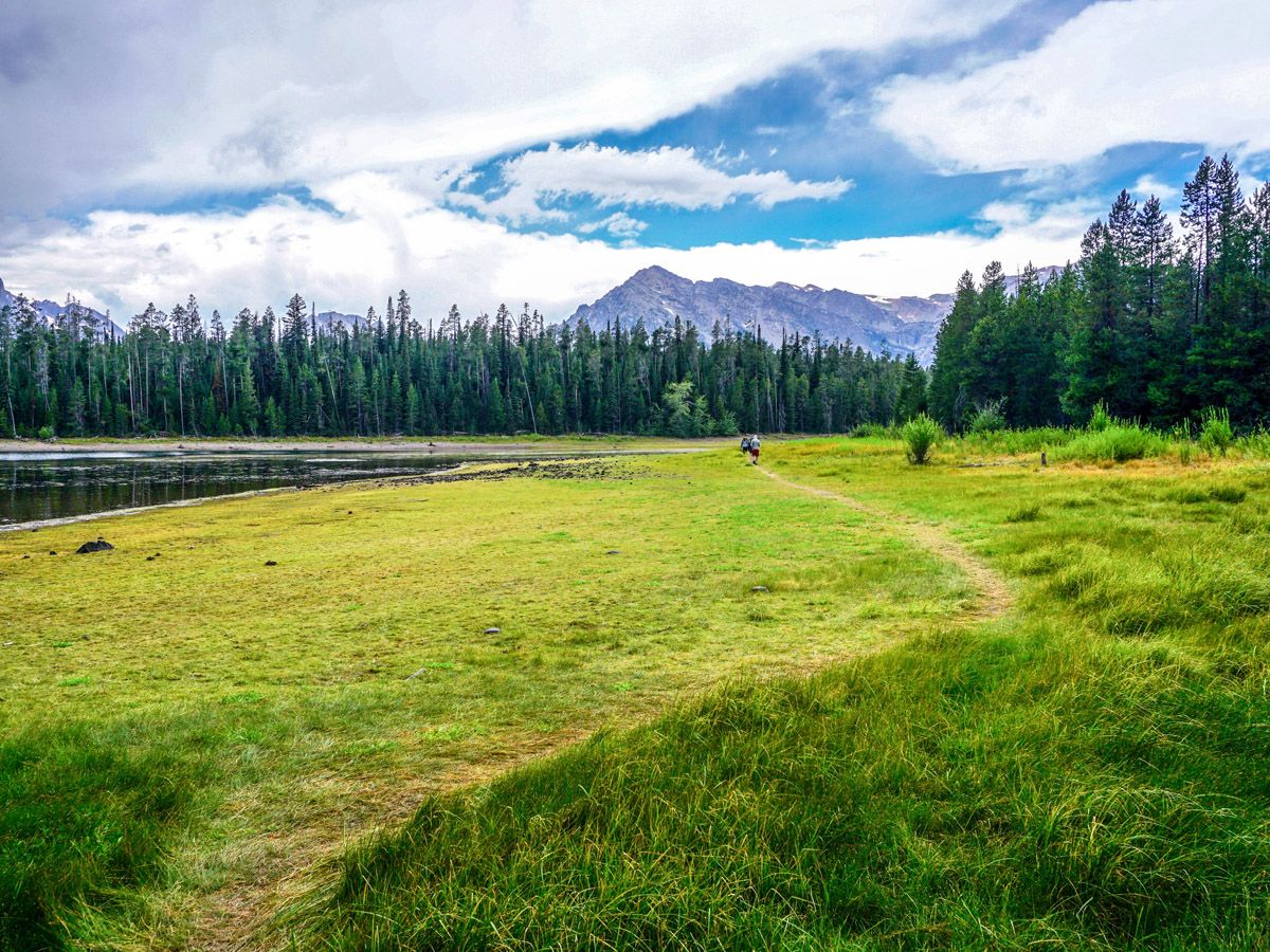 Trail of Colter Bay Hike in Grand Teton National Park