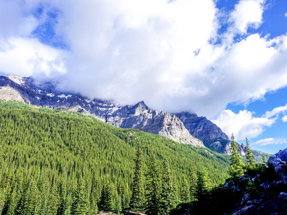 Forest and mountain at the Consolation Lakes Hike in Lake Louise, Banff National Park