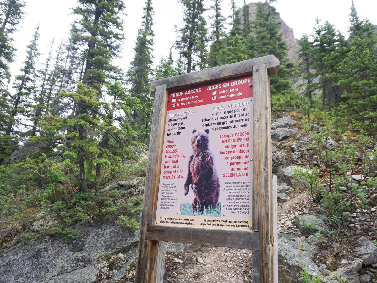 Warning sign on the Consolation Lakes Hike in Lake Louise, Banff National Park