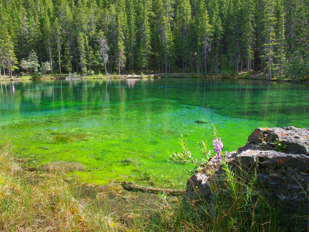 Crystal clear water on the Grassi Lakes Circuit Hike in Canmore, the Canadian Rockies