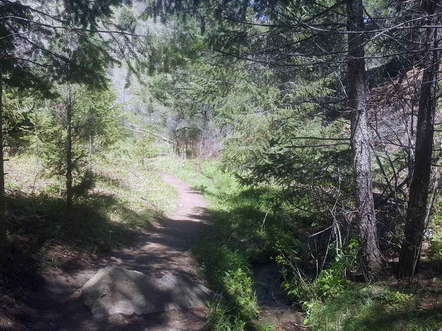 First mile of the Beaver Brook to Chavez Trail Loop Hike near Denver, Colorado