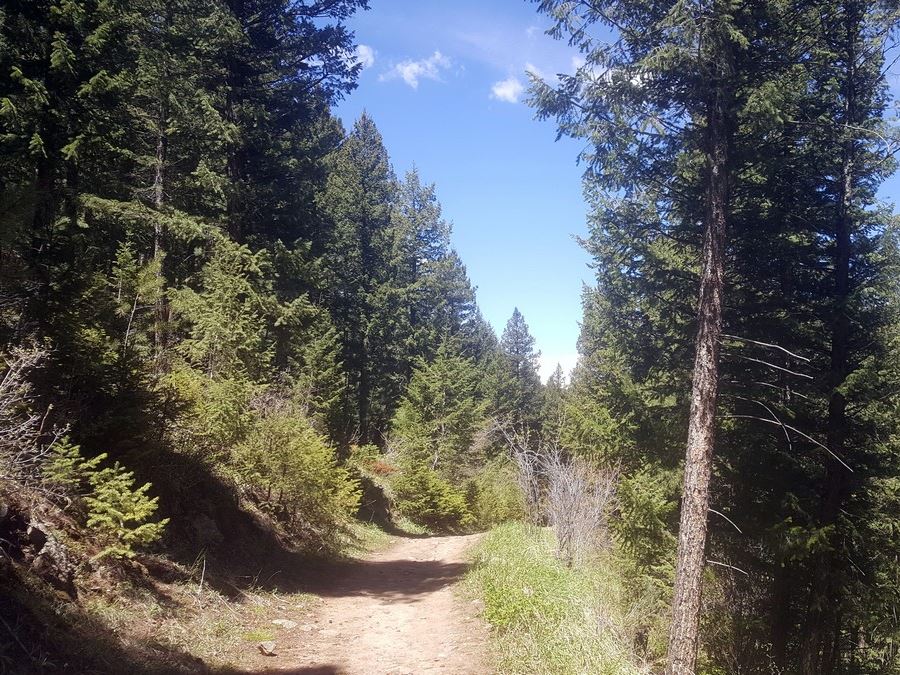 Trail of the Beaver Brook to Chavez Trail Loop Hike near Denver, Colorado