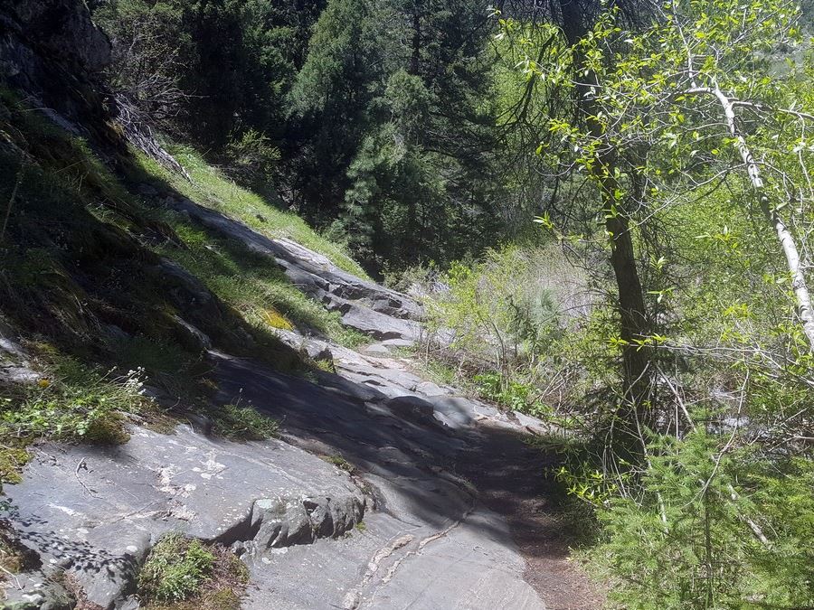 Rocky trail of the Beaver Brook to Chavez Trail Loop Hike near Denver, Colorado